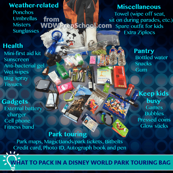 Disney World park bag