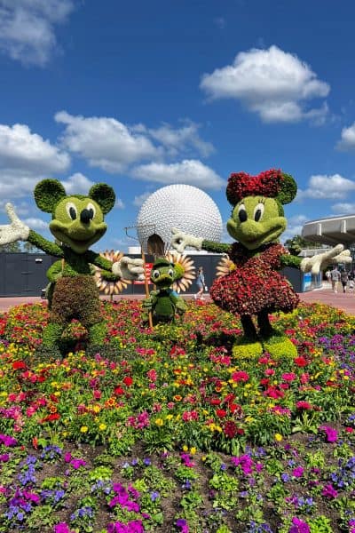 mickey and minnie topiary