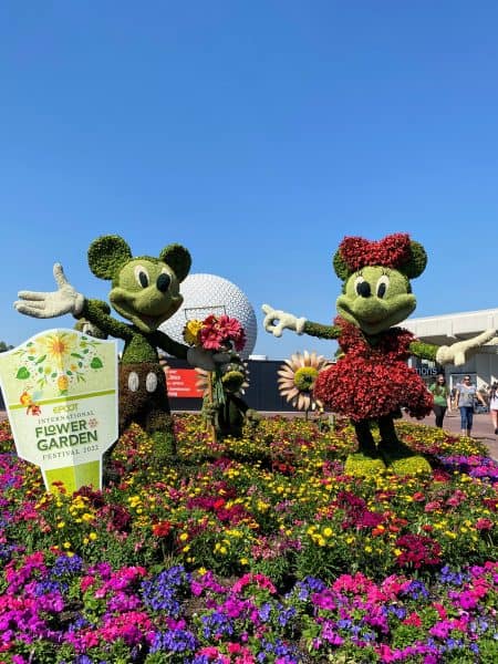 mickey and minnie topiary flower and garden festival