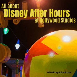Disney After Hours at Hollywood Studios