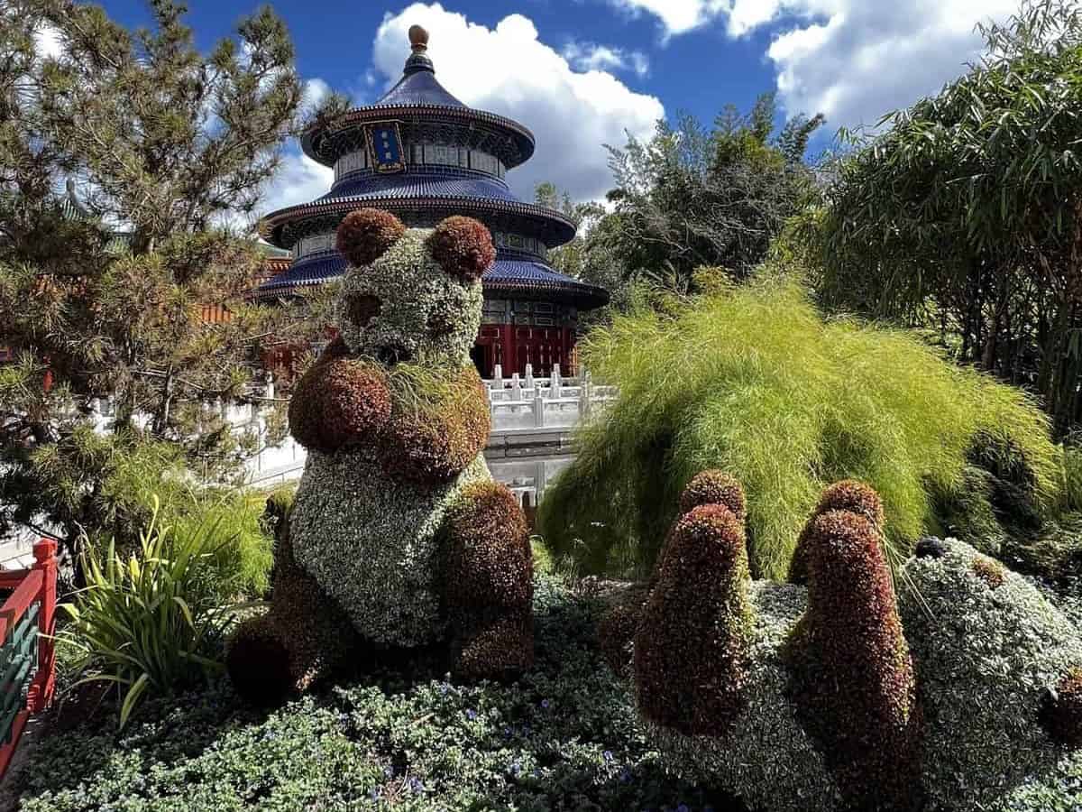 Epcot 2022 Flower and Garden Festival - panda topiaries