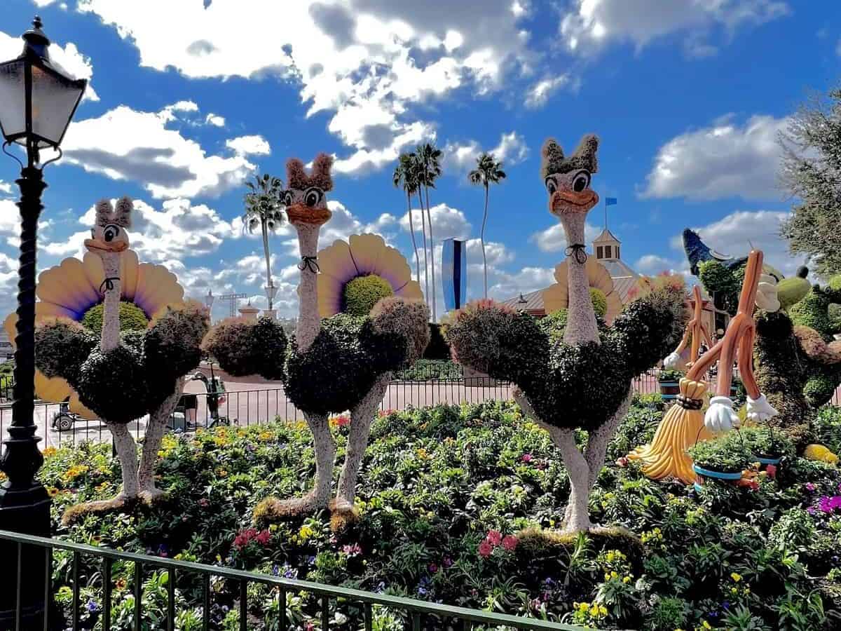 Epcot 2022 Flower and Garden Festival - ostrich topiaries