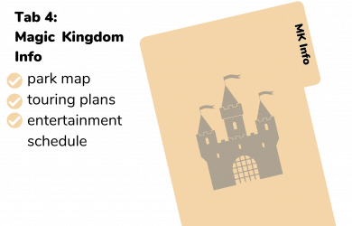 Magic Kingdom section binder