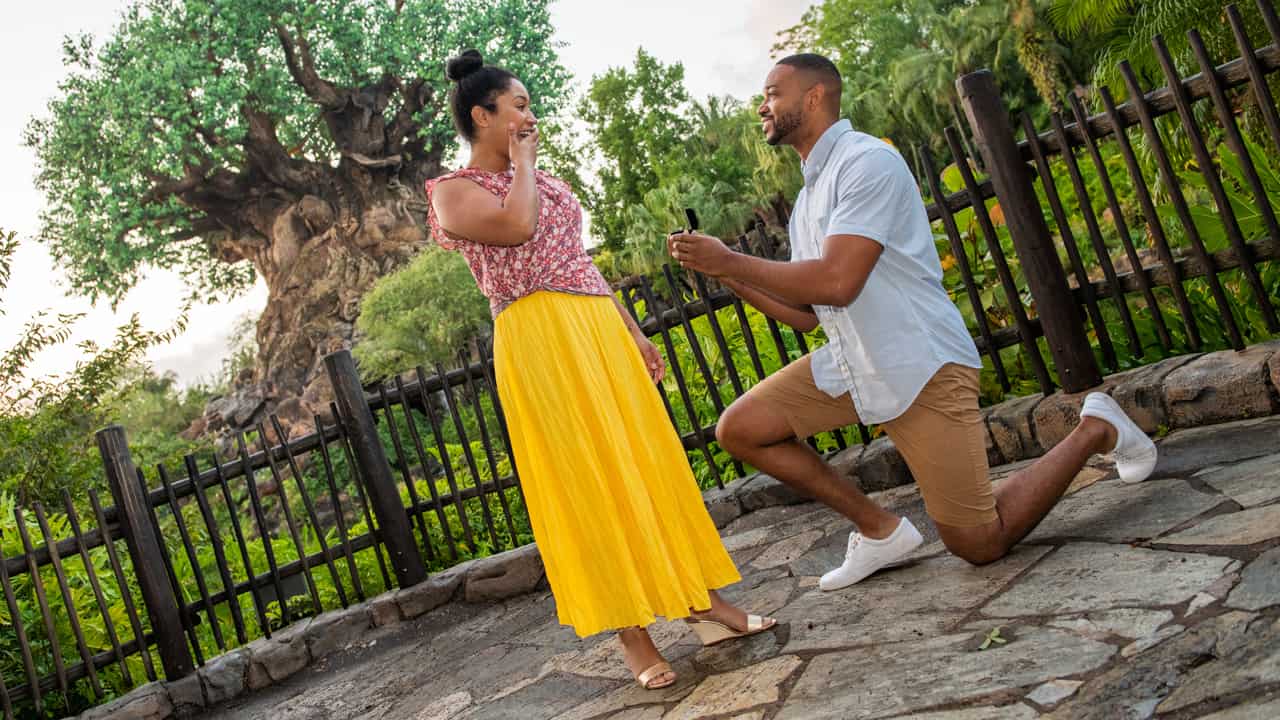 Animal Kingdom Adds Capture Your Moment Sessions Starting May 17