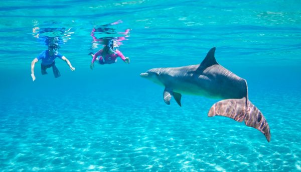 Atlantis Aquaventure with Snorkel and Dolphins in Nassau