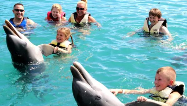 Blue Lagoon Island Dolphin Swim in Nassau