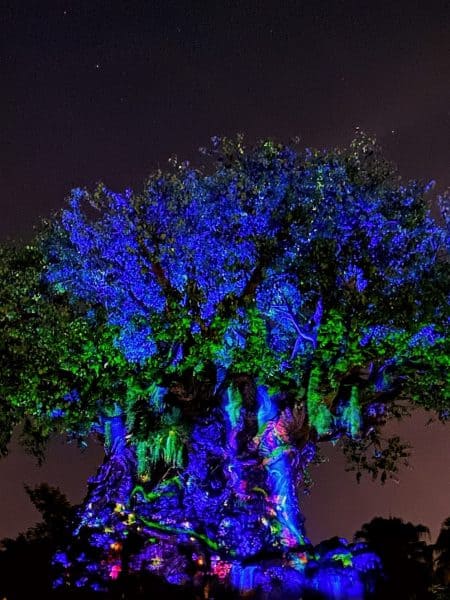 tree of life beacon of magic