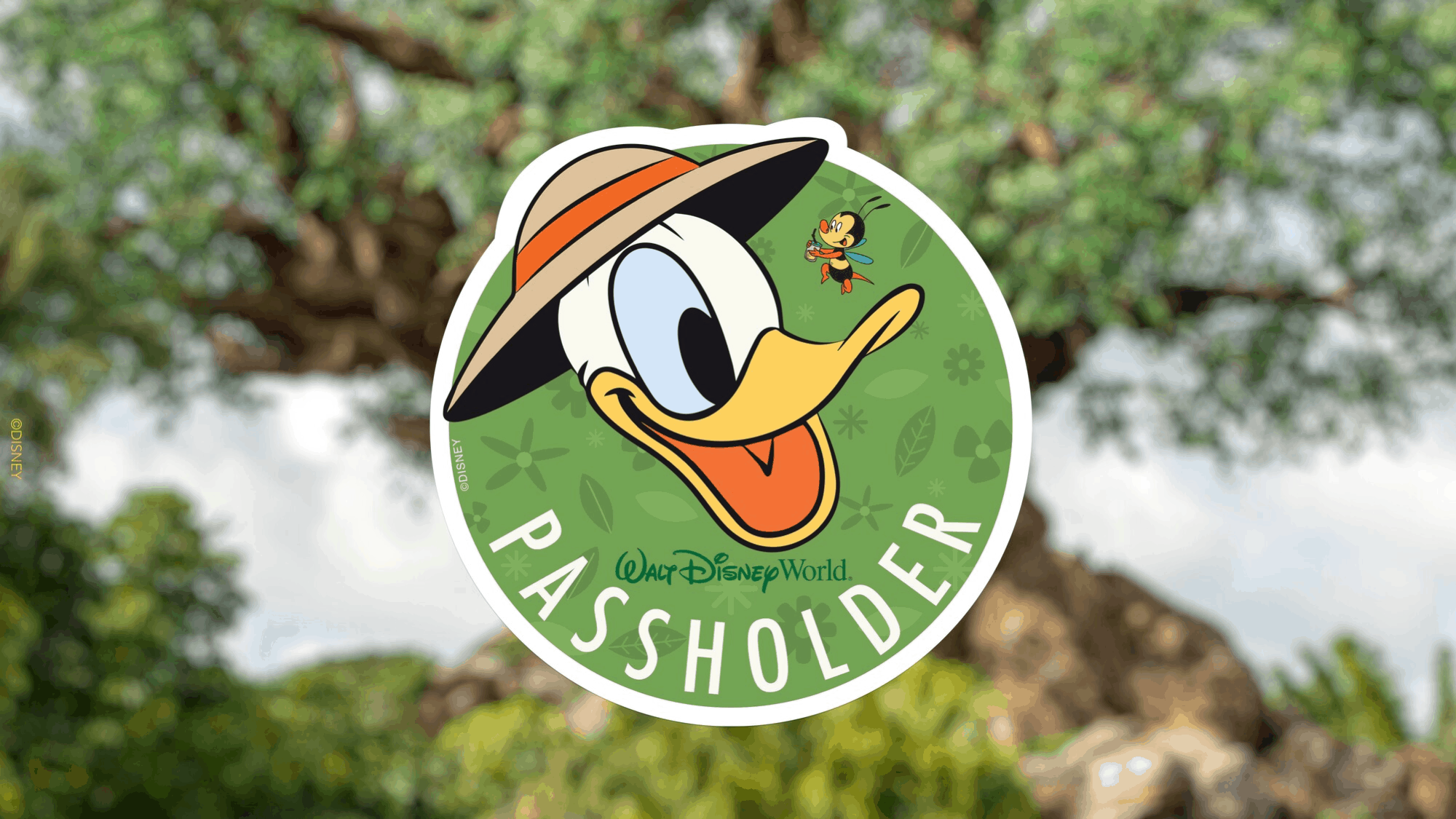 Exclusive Annual Passholder Offerings Coming To Animal Kingdom