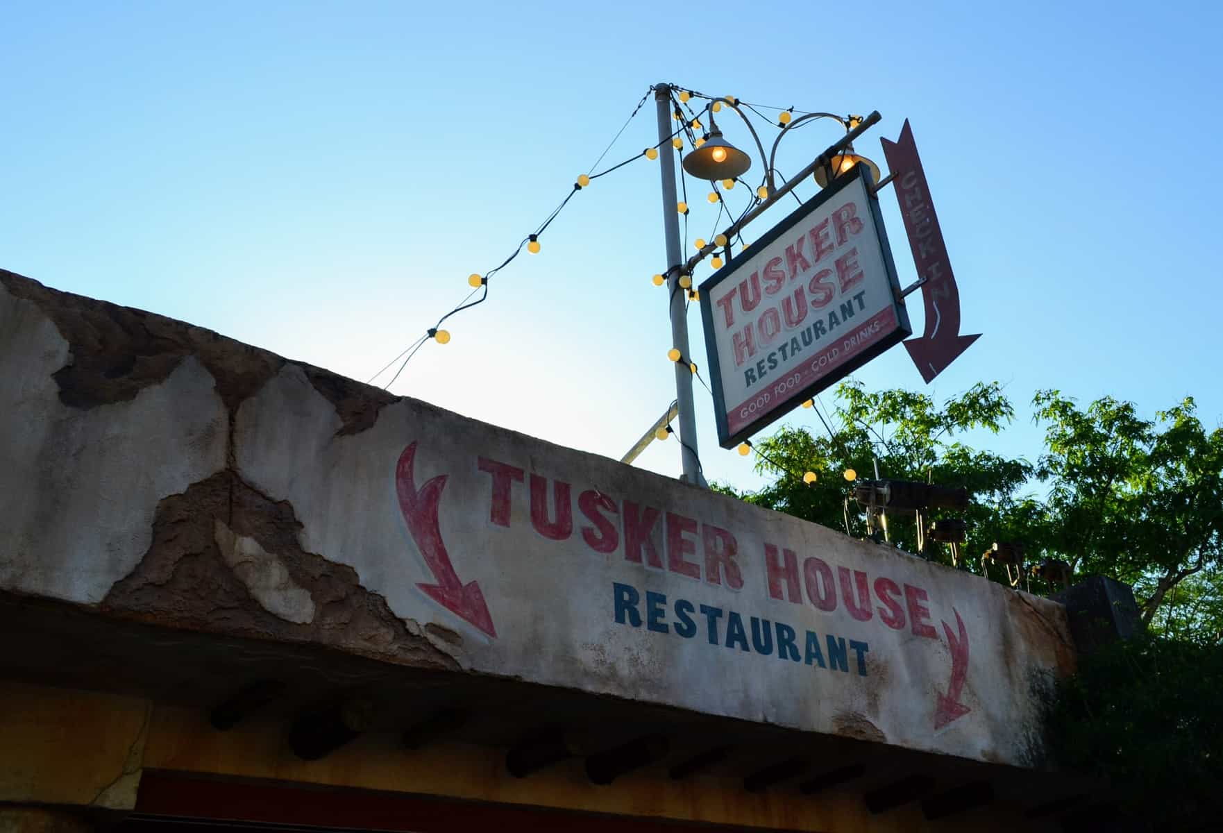Pros and Cons for All Animal Kingdom Restaurants