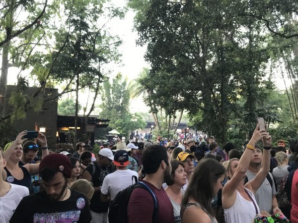 Heavy crowds at Disney World Animal Kingdom