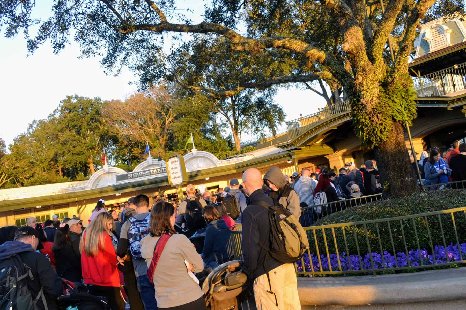 11 tips for handling the crowds at Disney World