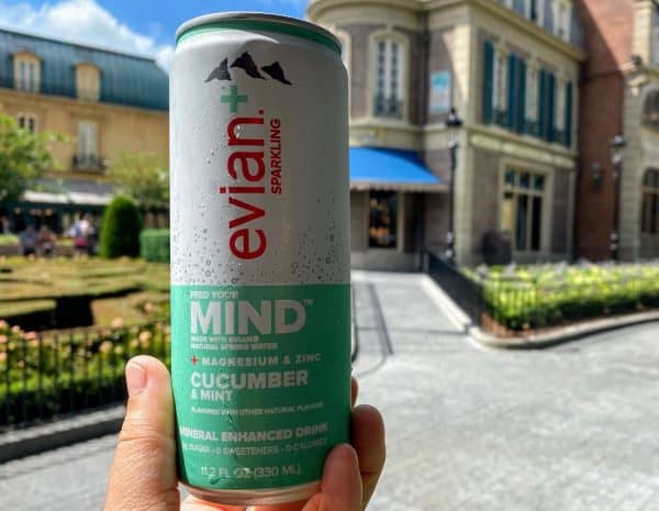 Evian Cucumber Mint Water - France