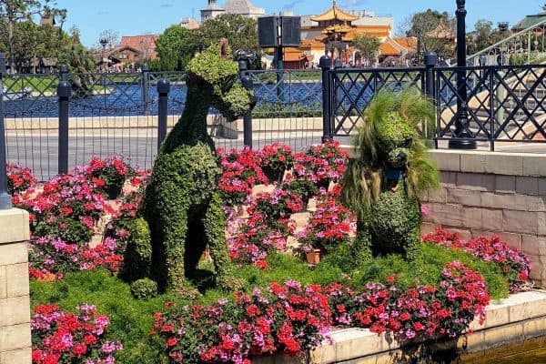 Lady and the Tramp topiaries