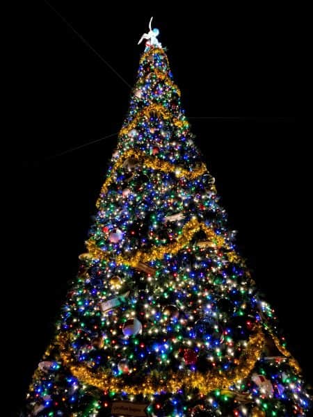 Epcot Christmas Tree
