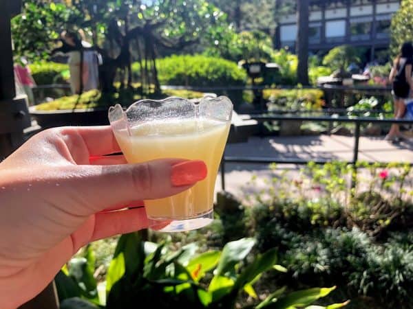 pineapple nigori sake - hanami japan - flower and garden 2022