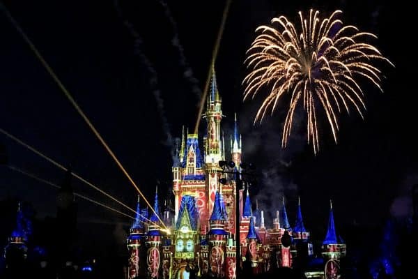 Nighttime fireworks happily ever after